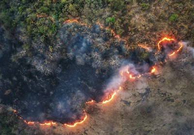 آتش‌سوزی‌های سریالی در جنگل‌های شمال همچنان ادامه دارد و این بار دو نقطه از عرصه‌های جنگلی توسکستان گرگان